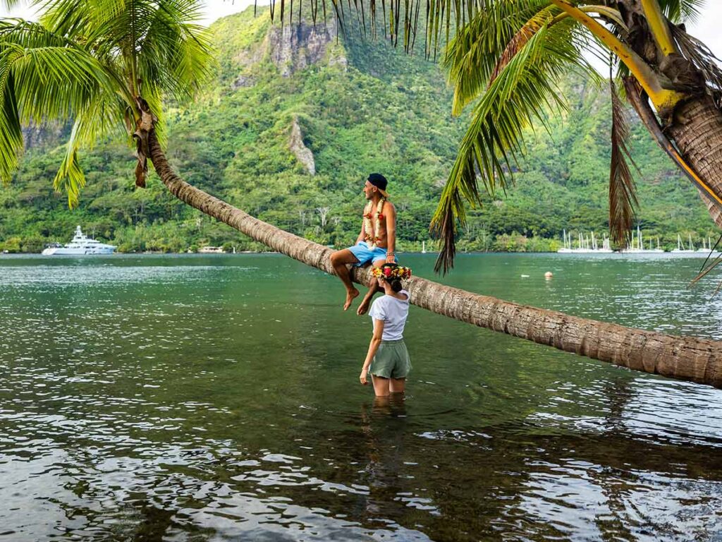 Vue panoramique sur la baie d’Opunohu à Moorea, un paysage sauvage et luxuriant entre montagnes verdoyantes et lagon turquoise en Polynésie française.