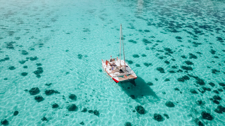 Les meilleures excursions et activités à MOOREA