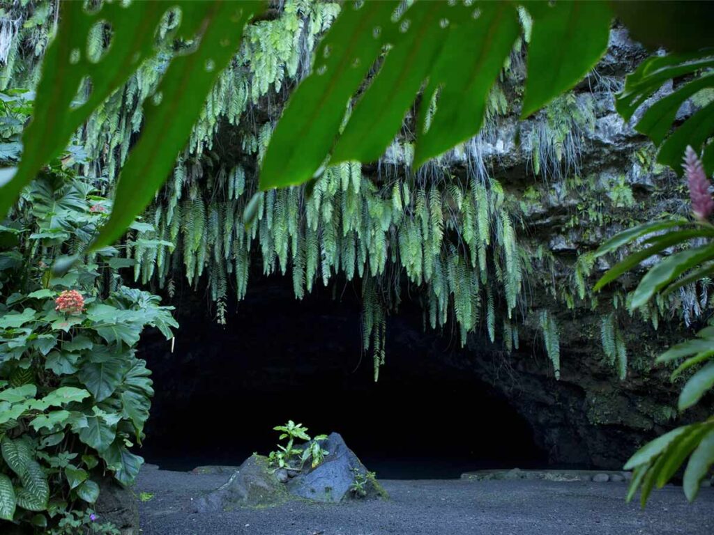La grotte de Maraa sur Tahiti, un lieu fascinant avec des roches impressionnantes et une végétation abondante.