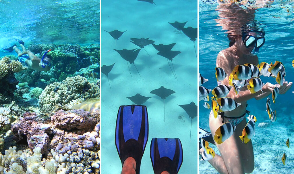 Snorkeling dans le lagon de Bora Bora, entourés de coraux colorés, de raies aigles et de poissons tropicaux.