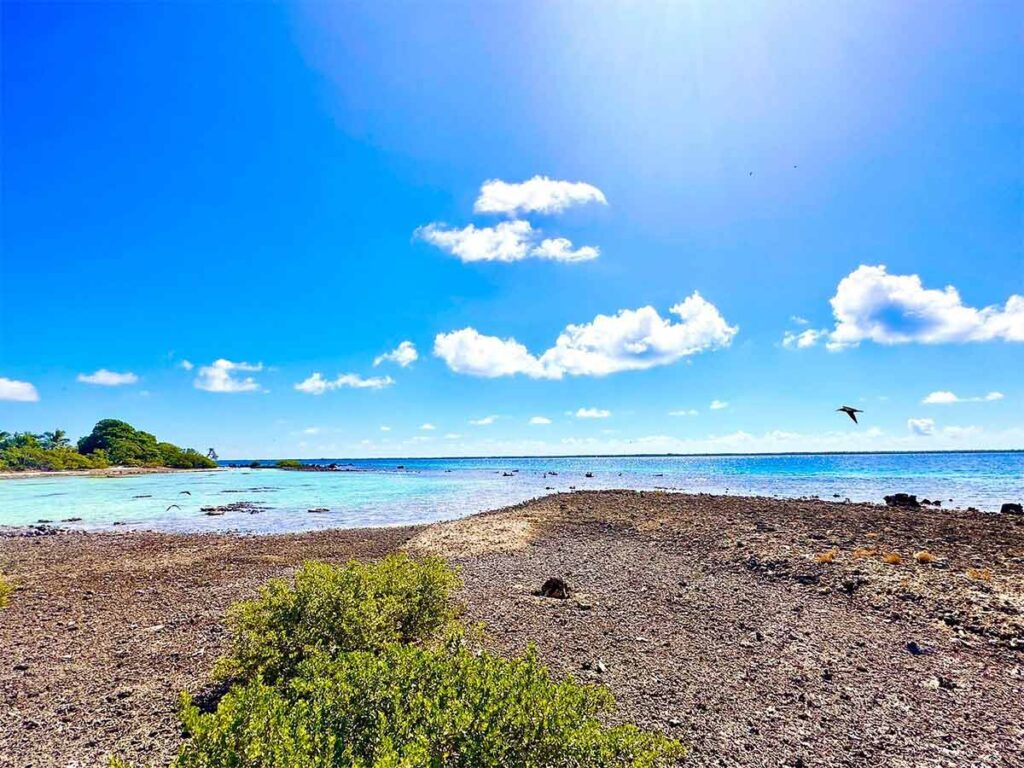 L’Île aux Oiseaux à Tikehau en Polynésie française, refuge sauvage abritant de nombreuses espèces d’oiseaux marins au milieu d’eaux turquoise et de végétation tropicale.