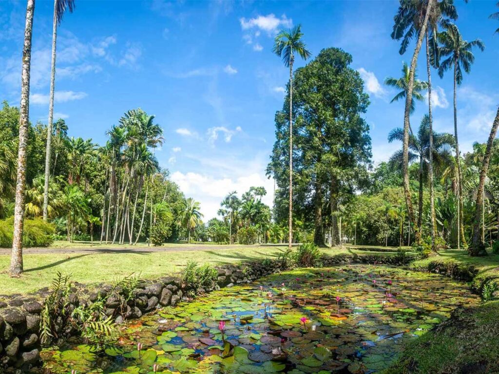 Havre de paix au jardin botanique Harrison Smith, un écrin de verdure à Tahiti abritant des espèces végétales rares et une biodiversité exceptionnelle.