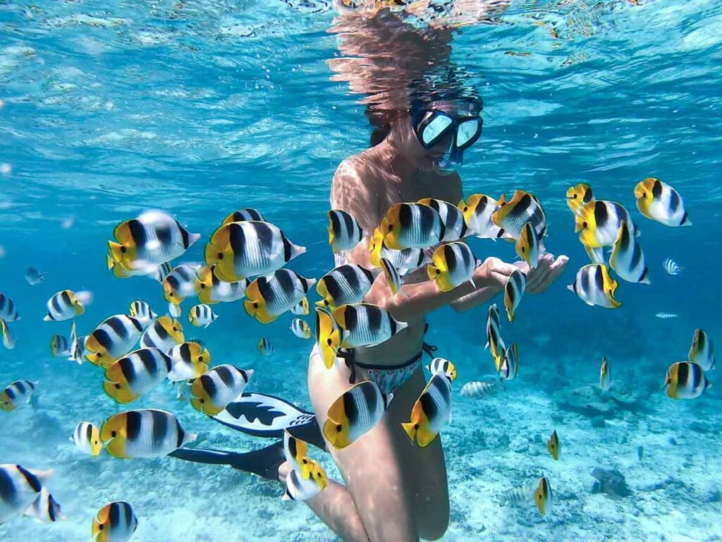 Le jardin de corail à Bora Bora, avec des coraux vibrants, des poissons tropicaux colorés et des eaux cristallines créant un écosystème marin fascinant et diversifié.