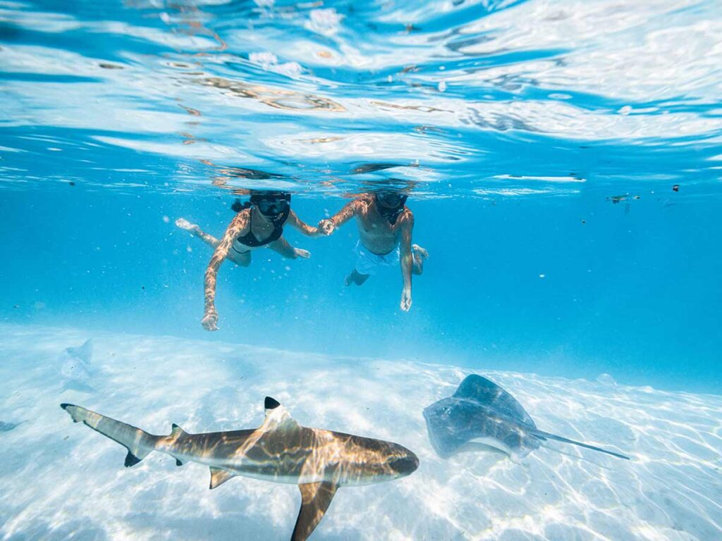 Nager avec les raies et requins dans le lagon de Moorea, une aventure sous-marine unique et fascinante.
