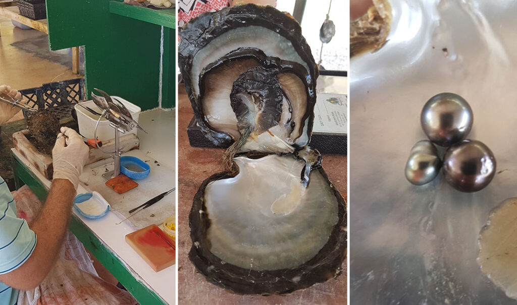 Visite gratuite d'une ferme perlière à Rangiroa en Polynésie française, découverte du processus de culture des célèbres perles noires de Tahiti.