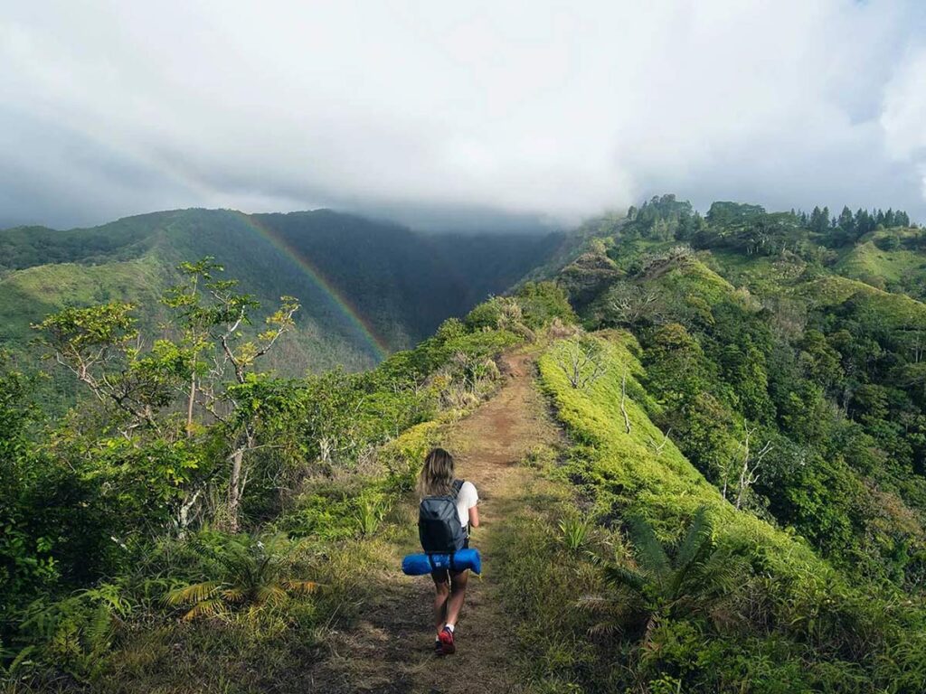 Randonnée dans la végétation luxuriante du Mont Aroai à Tahiti, entouré de forêts tropicales et de paysages verdoyants.
