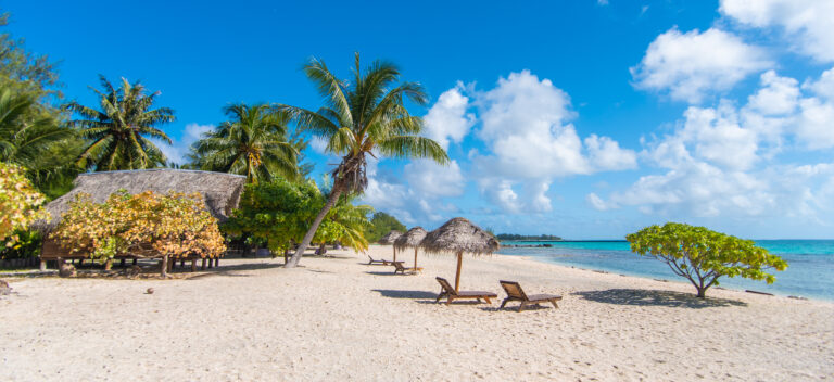 Que faire à TIKEHAU : découvrez l’atoll rose, un paradis préservé entre lagon et nature intacte