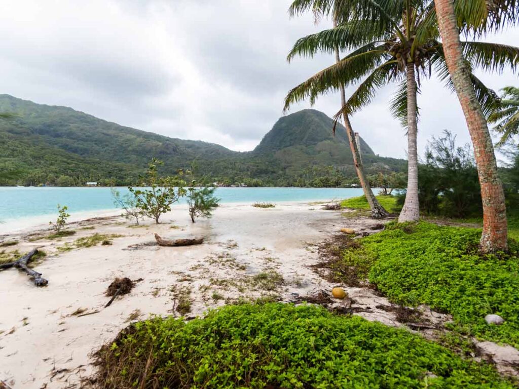 Plage sauvage et paisible de l'ancien Sofitel à Huahine, offrant un cadre naturel préservé avec sable blanc et végétation tropicale.