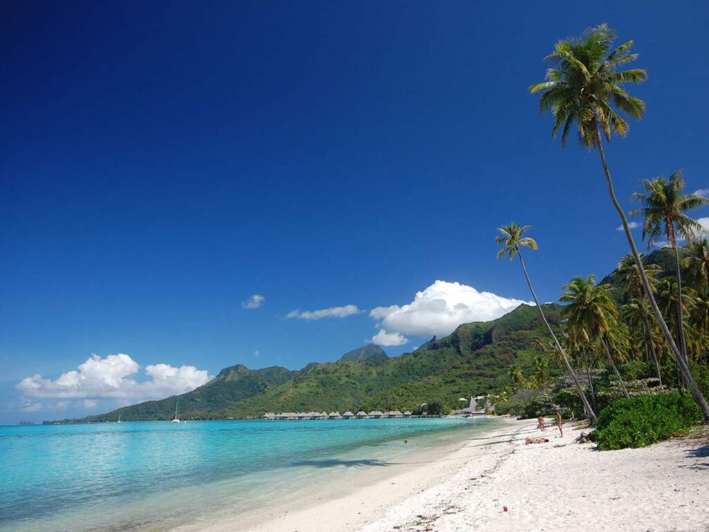 Plage publique de Temae à Moorea, une magnifique étendue de sable blanc bordée de cocotiers, offrant des eaux cristallines et un cadre paisible pour se détendre et profiter de la nature.