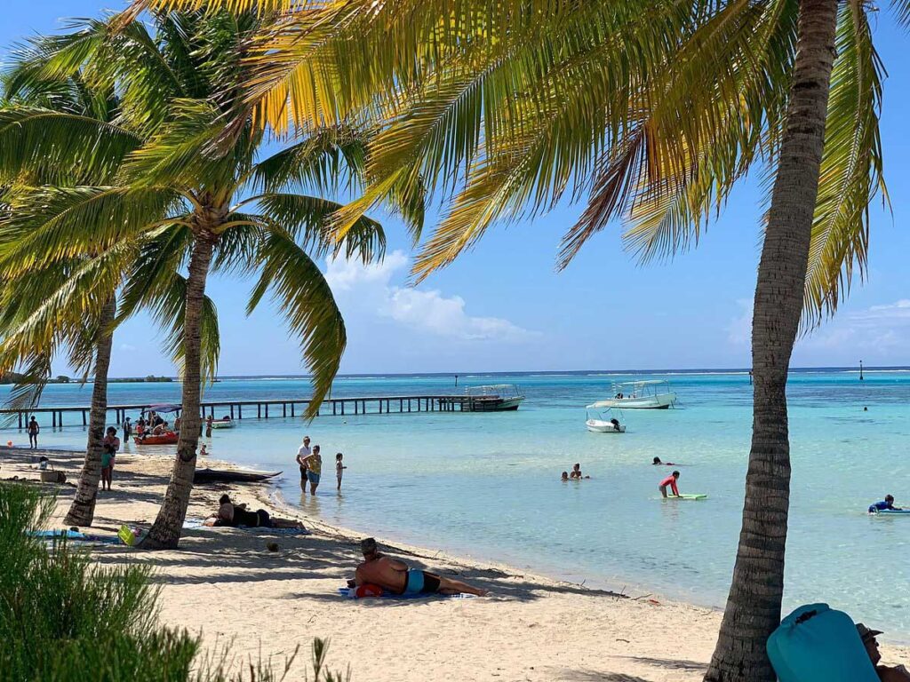 La plage des Tipaniers à Moorea, un véritable havre de paix avec des cocotiers, une mer turquoise et un environnement naturel préservé, idéale pour les amoureux de la nature.