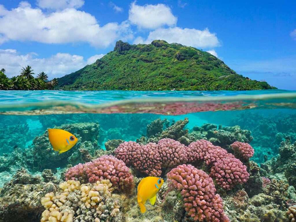 Récifs coralliens éclatants et poissons tropicaux multicolores dans les eaux cristallines de Huahine.