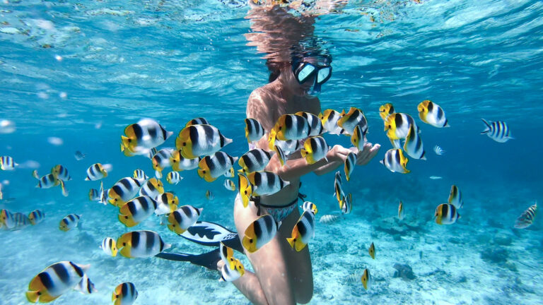 Les meilleures excursions et activités à BORA BORA
