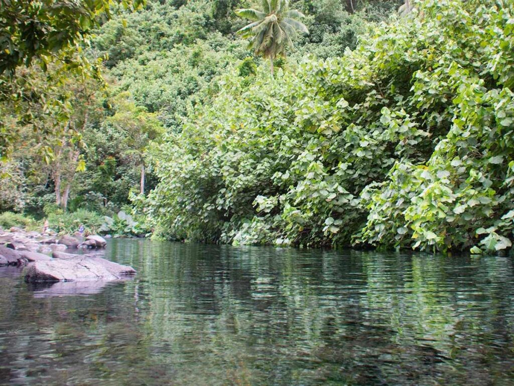 La paisible source de Vaima sur l'île de Tahiti, un lieu naturel tranquille entouré de verdure.