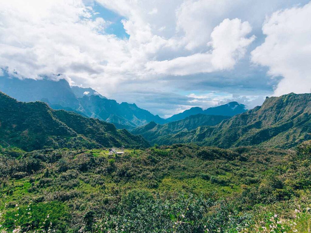 Explorer la vallée luxuriante de Papenoo à Tahiti lors d'une aventure en 4x4, une immersion dans la nature tahitienne.