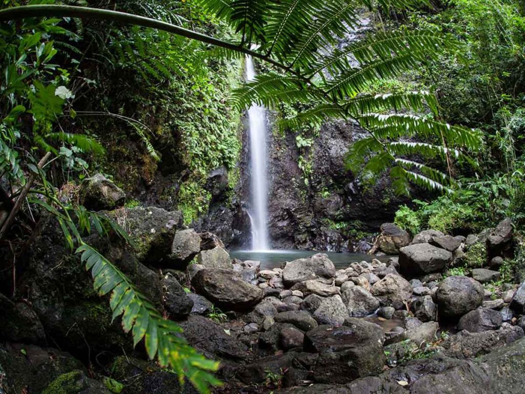 Cascade spectaculaire sur le sentier de la randonnée des trois cascades à Raiatea, entourée de végétation luxuriante.