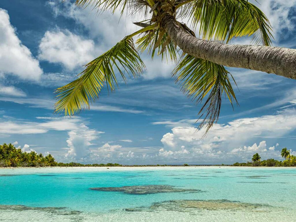Le lagon de Fakarava aux eaux translucides bordé de coraux et d’îlots sauvages, typique des atolls des Tuamotu.
