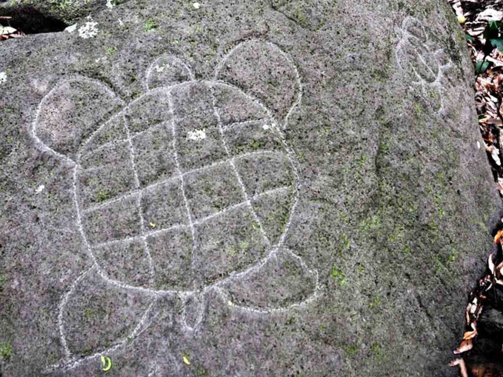 Gravures anciennes représentant des tortues et des crabes sur les roches de Haranai à Maupiti, en Polynésie française.