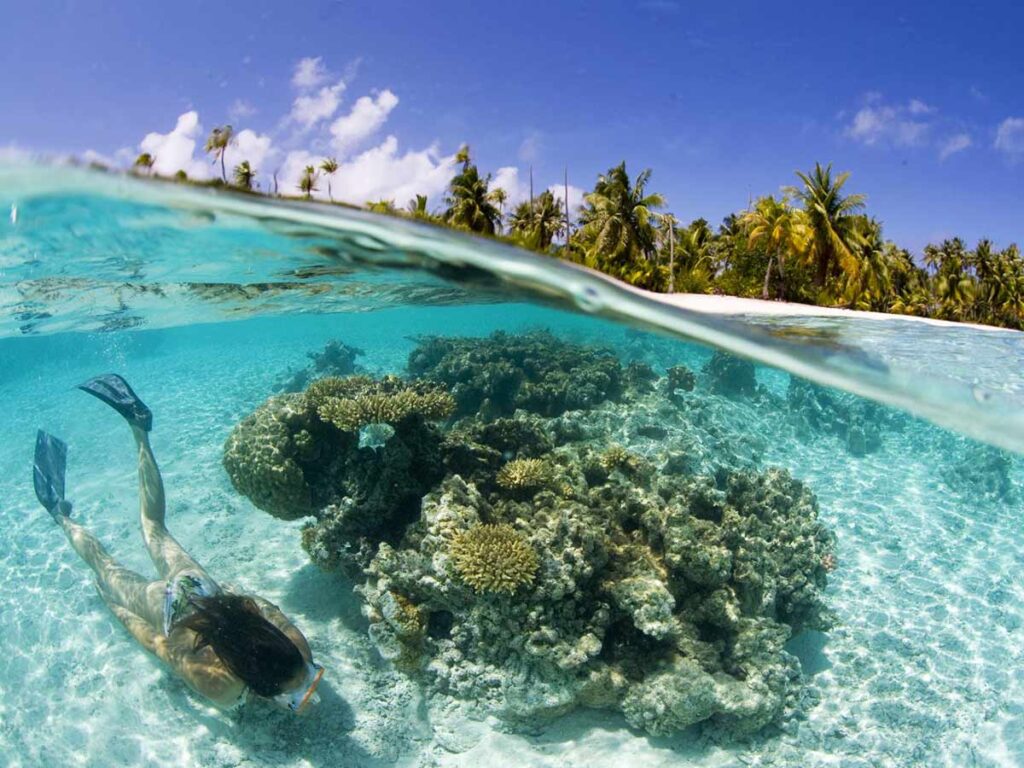 Personne faisant du snorkeling dans les eaux cristallines du lagon de Tahaa, entourée de coraux colorés.