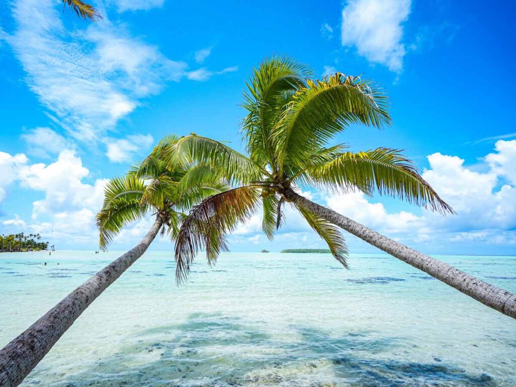 Plage paradisiaque à Tetiaroa, lagon turquoise et palmiers inclinés sous un ciel bleu en Polynésie française.