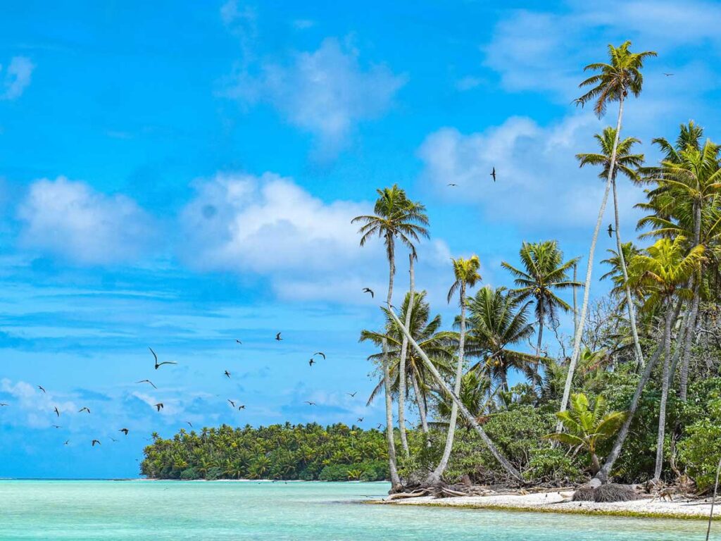 Tetiaora et ses oiseaux nicheurs volant au-dessus du lagon