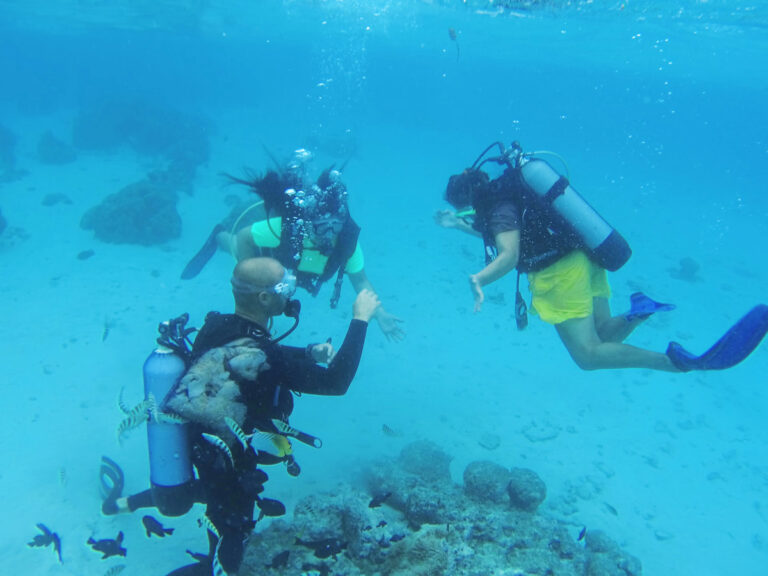Baptême de plongée à Moorea