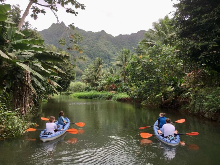 Balade guidée en kayak sur la rivière Faaroa