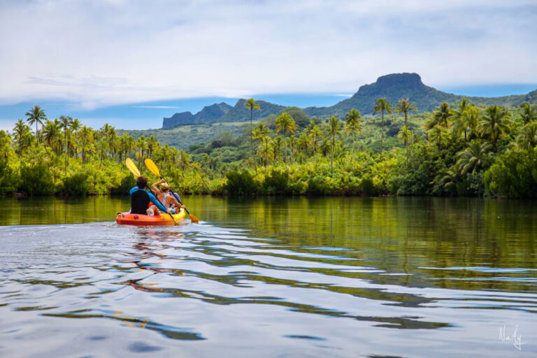 Remontée en kayak de la rivière Faaroa