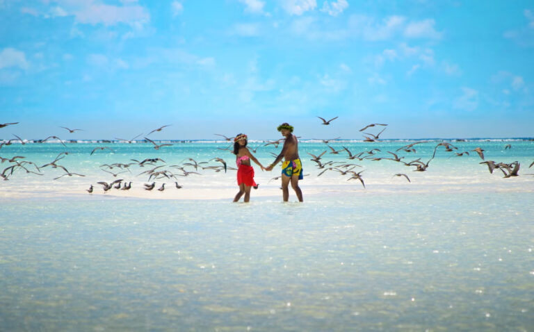 Excursion en catamaran à Tetiaroa depuis Papeete