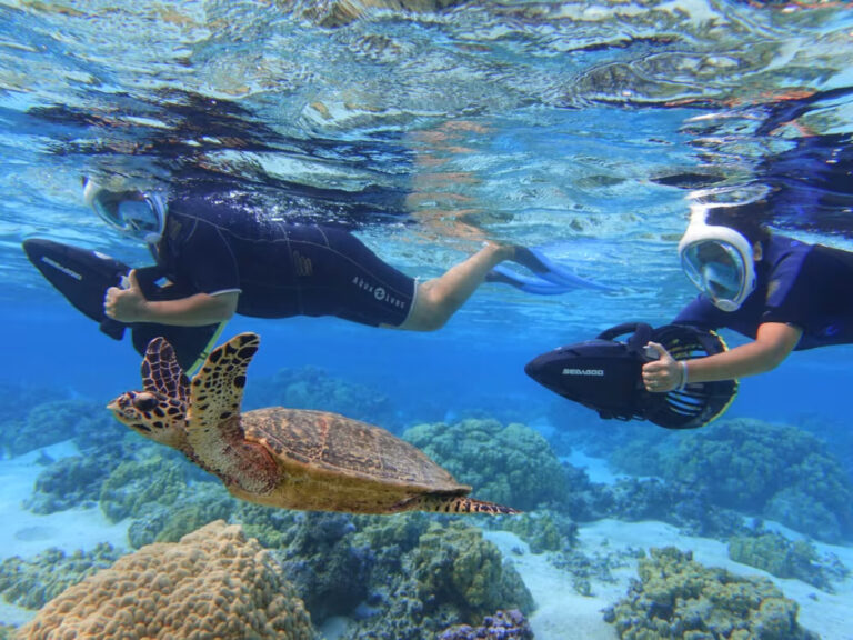 Excursion snorkeling en scooter sous-marin à Moorea