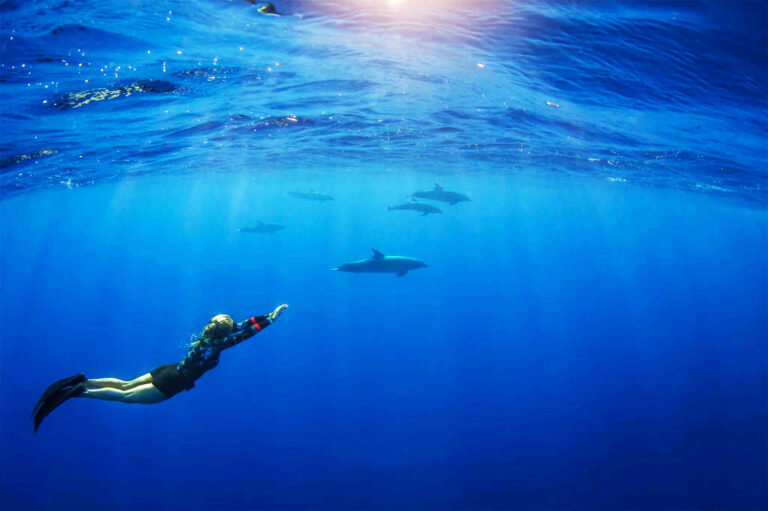 Snorkeling guidé avec les dauphins à Rangiroa