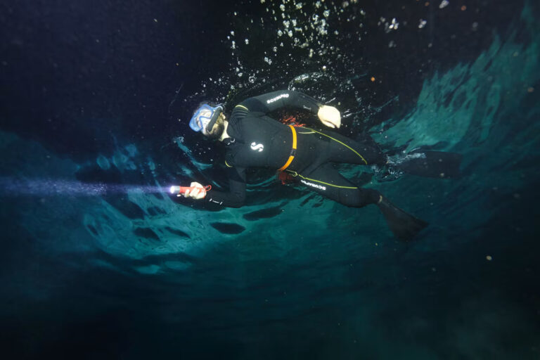Excursion snorkeling de nuit dans le lagon de Moorea