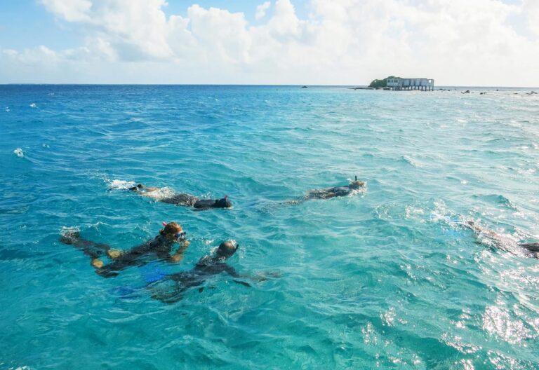 Excursion snorkeling à Tikehau